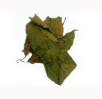 Ayahuasca Leaves 1 kilogram