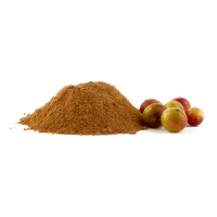 Camu Camu Powder 20kg