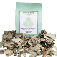 Eucalipto Leaves