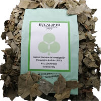 Eucalipto Leaves