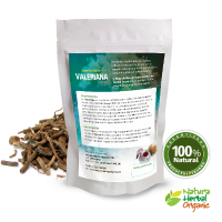 Valerian Root Tea (Valeriana officinalis) 