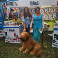  Inversiones Vetlinex EIRL