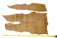Approximate Measurement of a Skin.