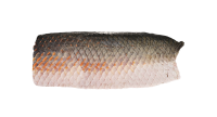 Fresh Fillet Paiche with Leather