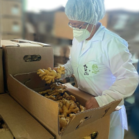 We seek to be at the forefront of food processing, demonstrating sustainable and safe processes, with our different certifications in recognition of international standards.