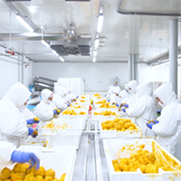 Mariposa Andina Processing Plant
