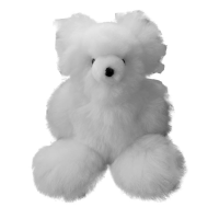 Teddy Bear blanco