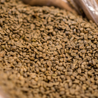 Green Coffee 152.12 lbs. Café Kañaris.