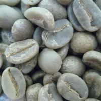Green Coffee 152.12 lbs/ Café Penachí.