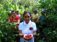 Café Femenino Producers