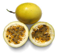 Passion fruit Juice 50 Gallons