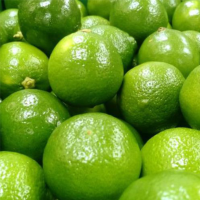 Lemon Sutil - Taiti 18kg