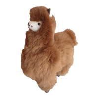 Standing Alpaca
