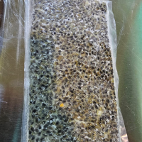 Fresh Frozen Granadilla Pulp in 10 kg Packages