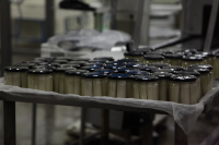 Apropal production zone