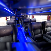 Soft Seat for Buses