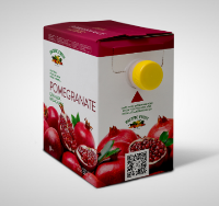 Aseptic Pomegranate Pulp