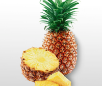 Fresh Pineapple of 12Kg