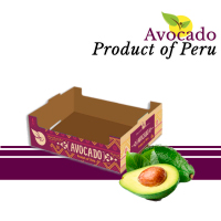 Avcado Hass & Fuerte