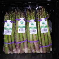 Fresh Green Asparagus 5kg Boxes