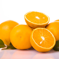 Orange Valencia citrus fruit of 645 KG.
