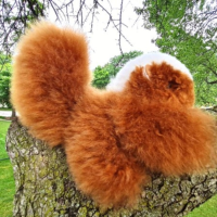 Handmade Alpaca Squirrel Toy - Blossom Inspirations