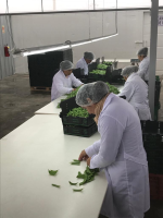 Packing house