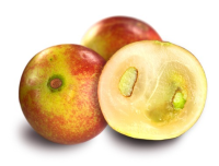 Camu camu Fruit