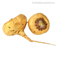 Maca Root