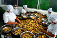 BRAZIL NUTS