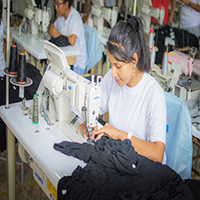 Cotton Enterprise