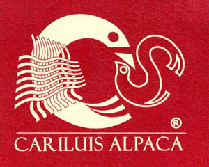 CARYLUIS ARTESANIAS E.I.R.L.