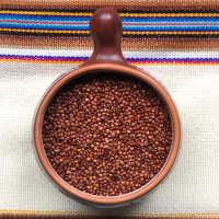 Red Quinoa (Conventional / Organic)