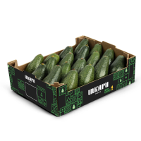 Avocado Hass  4kg to 10kg 