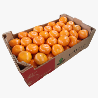 Fresh Mandarine Honey Murcott 3