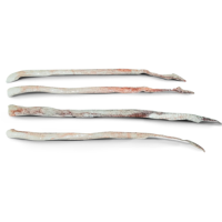 Giant Squid Reproductives