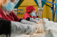 BEAN PROCESS AREA