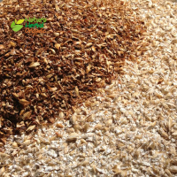 Brewer's Yeast (Saccharomyces cerevisiae)