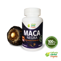 Black Maca Root (Lepidium meyenii) in Capsules