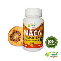 Yellow Maca Root (Lepidium meyenii) in Capsules - Pills