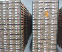 Fruit packed in cold chamber