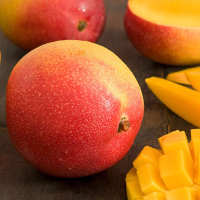 MANGO IN PLANT