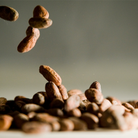 Organic Cacoa Beans