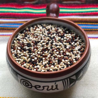 Tricolor Quinoa 25kg (Conventional / Organic)