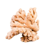 Ginger