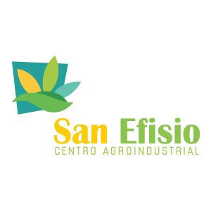 SAN EFISIO S.A.C.