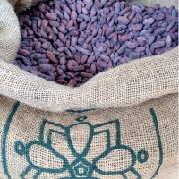 Cacao Beans