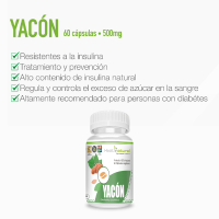 Yacón benefits