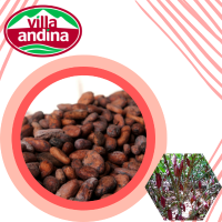 Cocoa Beans