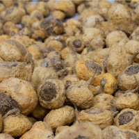 Maca Powder